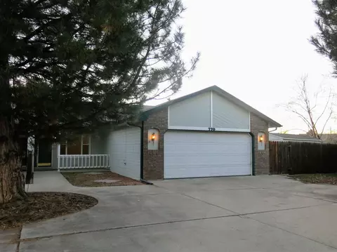 770 Gold Rush Dr, Fruita, CO 81521 photo 1
