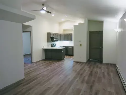 770 Gold Rush Dr, Fruita, CO 81521 photo 5