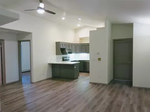 770 Gold Rush Dr, Fruita, CO 81521 photo 6