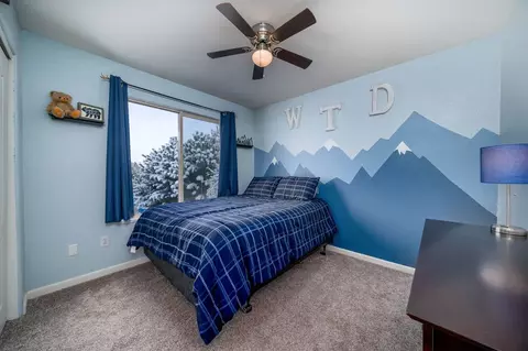 663 Darcy Jo Ln, Fruita, CO 81521 photo 12