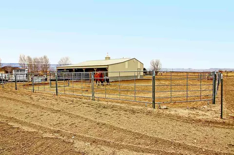 1871 High Point Ct, Fruita, CO 81521 photo 14