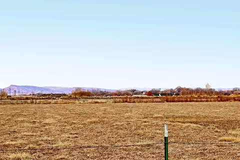 1871 High Point Ct, Fruita, CO 81521 photo 15
