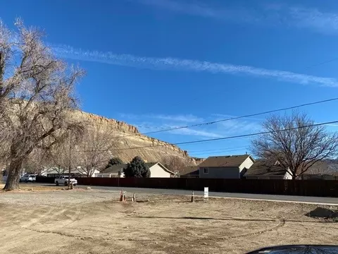 222 Elberta Ave, Palisade, CO 81526 photo 7
