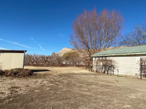 222 Elberta Ave, Palisade, CO 81526 photo 1
