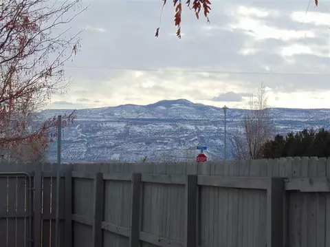 459 Phyllis Dr, Fruita, CO 81521 photo 40