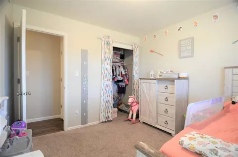 740 Pinyon Ct, Fruita, CO 81521 photo 31