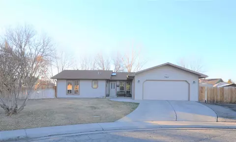 740 Pinyon Ct, Fruita, CO 81521 photo 1