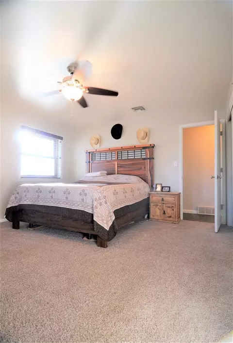 740 Pinyon Ct, Fruita, CO 81521 photo 24