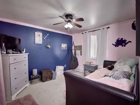 1141 Powell St, Fruita, CO 81521 photo 17