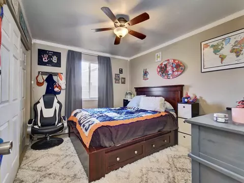 1141 Powell St, Fruita, CO 81521 photo 14