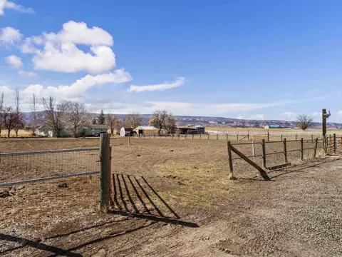 1195 19 Rd, Fruita, CO 81521 photo 28