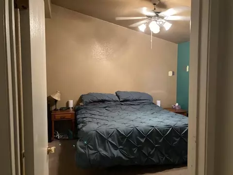 1300 Aquarius Ave, Fruita, CO 81521 photo 11