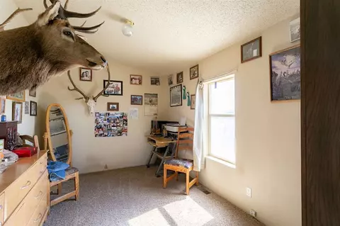 3601 Blair Rd, Whitewater, CO 81527 photo 8