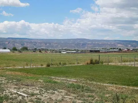 1927 M Rd, Fruita, CO 81521 photo 7