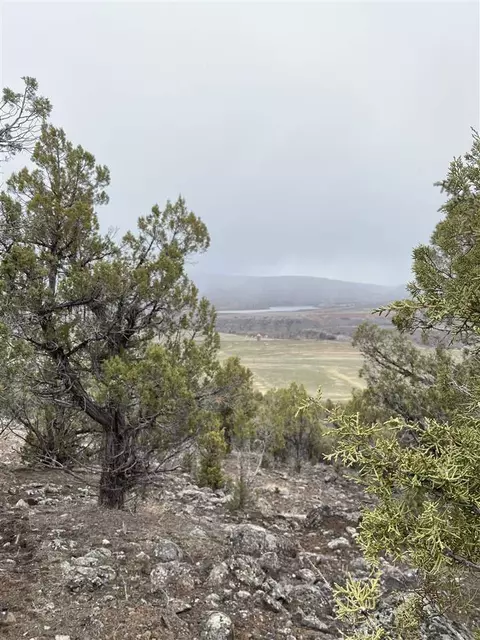 50927 Ke Rd, Mesa, CO 81643 photo 17