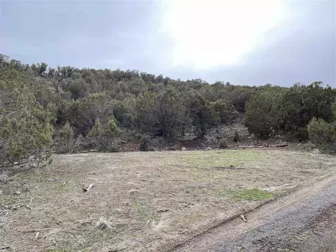 50927 Ke Rd, Mesa, CO 81643 photo 10