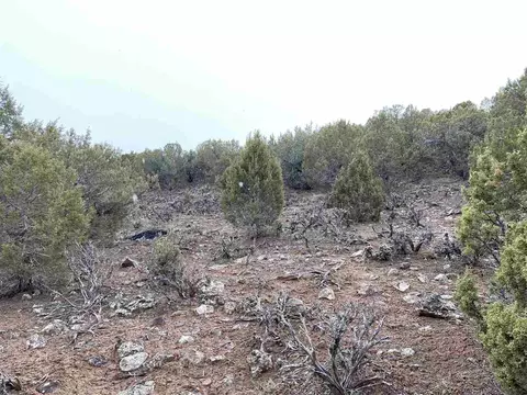 50927 Ke Rd, Mesa, CO 81643 photo 12