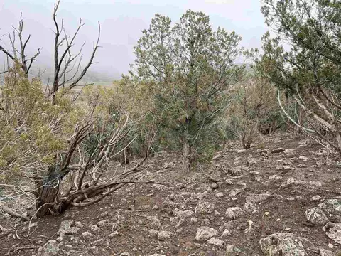 50927 Ke Rd, Mesa, CO 81643 photo 14