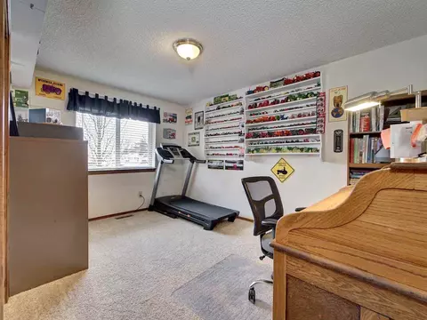 115 W Meadow Ave, Fruita, CO 81521 photo 16
