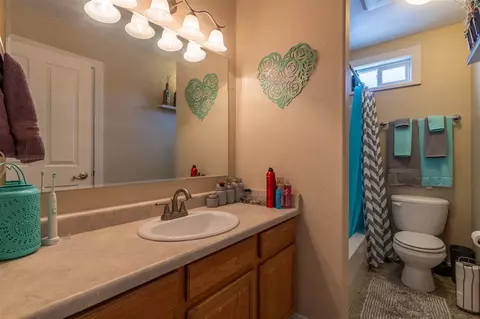 1123 Windsor Park Dr, Fruita, CO 81521 photo 13