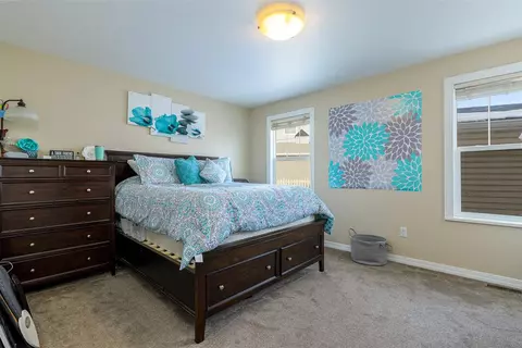 1123 Windsor Park Dr, Fruita, CO 81521 photo 10