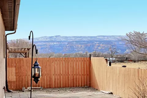 1031 Wingate Dr, Fruita, CO 81521 photo 32