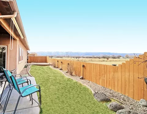 1031 Wingate Dr, Fruita, CO 81521 photo 29