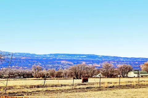 1031 Wingate Dr, Fruita, CO 81521 photo 42