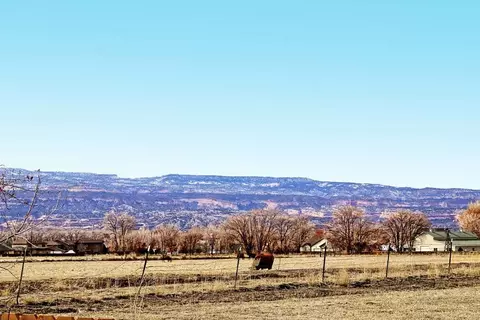 1031 Wingate Dr, Fruita, CO 81521 photo 40