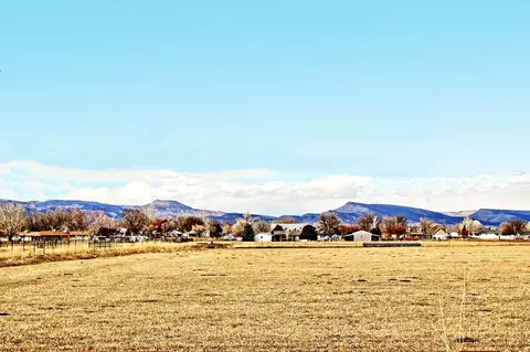 1031 Wingate Dr, Fruita, CO 81521 photo 41