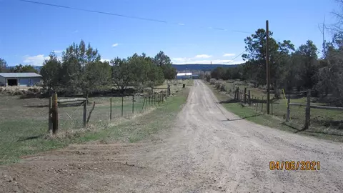 23019 Frost Rd, Cedaredge, CO 81413 photo 4