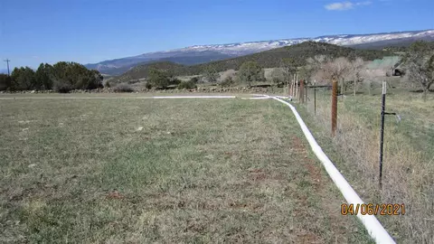 23019 Frost Rd, Cedaredge, CO 81413 photo 14