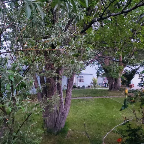 935 R Rd, Mack, CO 81525 photo 19