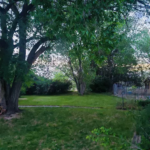 935 R Rd, Mack, CO 81525 photo 20