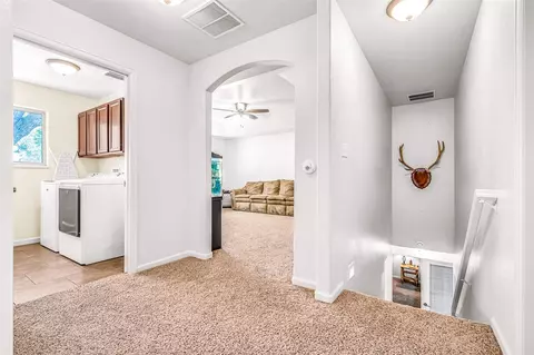 798 Sabil Dr, Fruita, CO 81521 photo 19