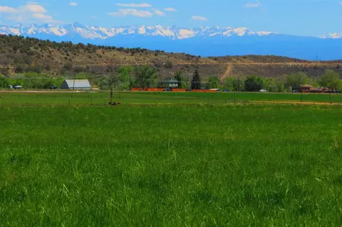 1300 SW 9th St, Cedaredge, CO 81413 photo 5