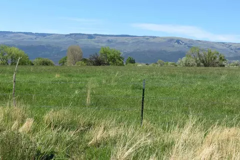 1300 SW 9th St, Cedaredge, CO 81413 photo 4