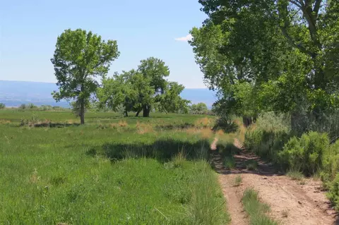 1300 SW 9th St, Cedaredge, CO 81413 photo 8