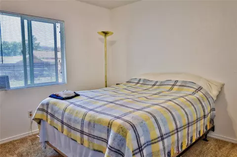 226 E Heritage Ct, Fruita, CO 81521 photo 10