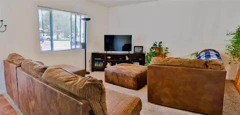 226 E Heritage Ct, Fruita, CO 81521 photo 3