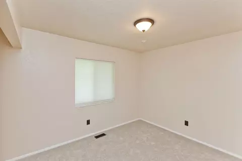 232 N Encanto Ct, Fruita, CO 81521 photo 19