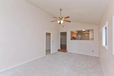 232 N Encanto Ct, Fruita, CO 81521 photo 13