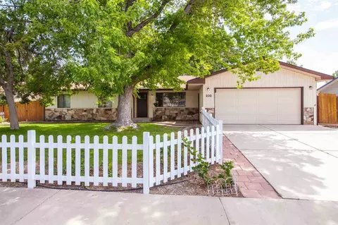 232 N Encanto Ct, Fruita, CO 81521 photo 1