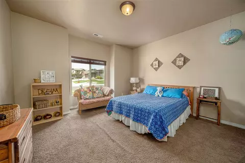 1064 Wingate Dr, Fruita, CO 81521 photo 14