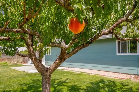 608 E Carolina Ave, Fruita, CO 81521 photo 28