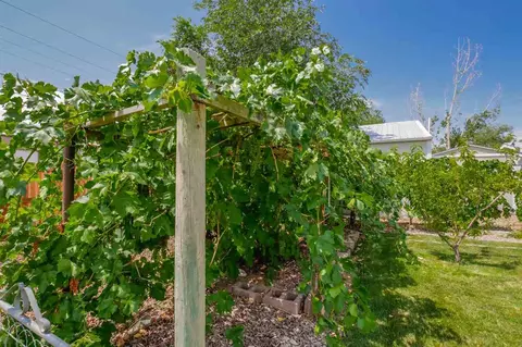 608 E Carolina Ave, Fruita, CO 81521 photo 30