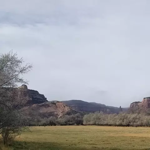 665 Ellen Dr, Grand Junction, CO 81507 photo 5