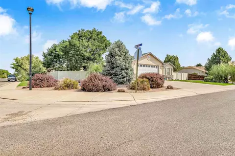 689 Garnet Dr, Fruita, CO 81521 photo 5