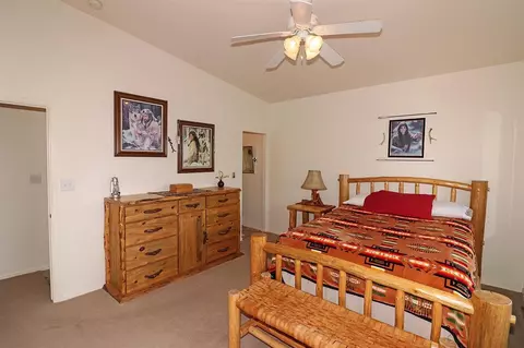 456 Phyllis Dr, Fruita, CO 81521 photo 16