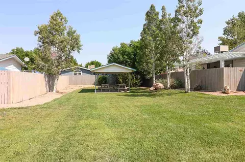 456 Phyllis Dr, Fruita, CO 81521 photo 29